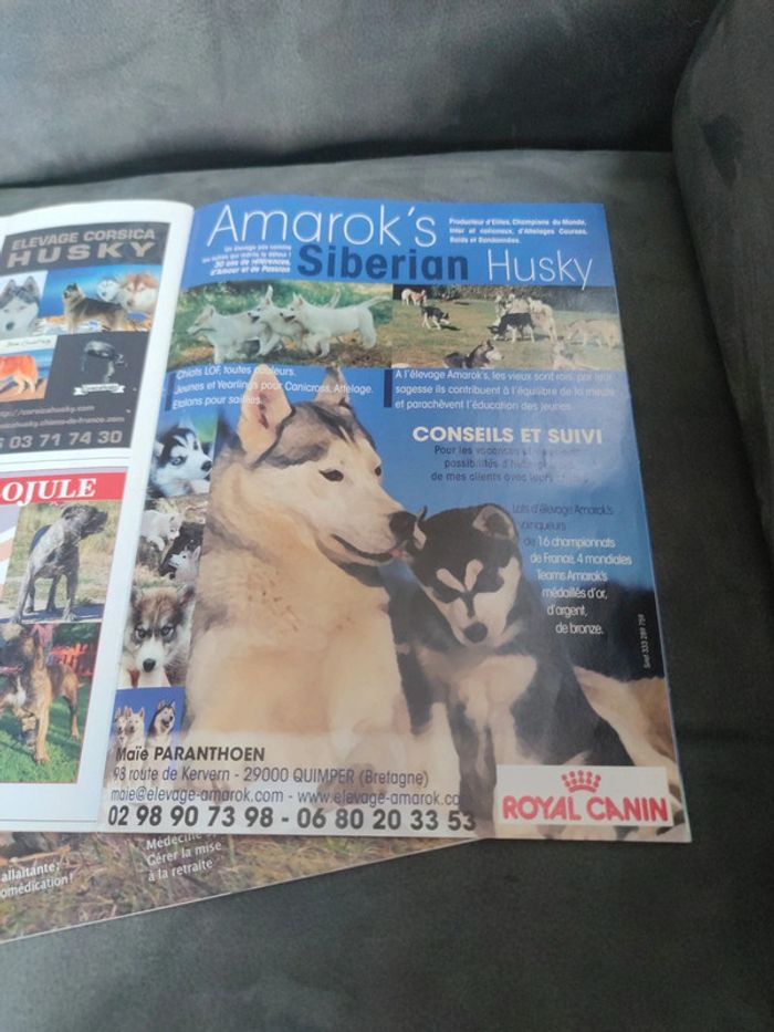 Magazine spécial husky de Sibérie revue chien 2000 - photo numéro 8