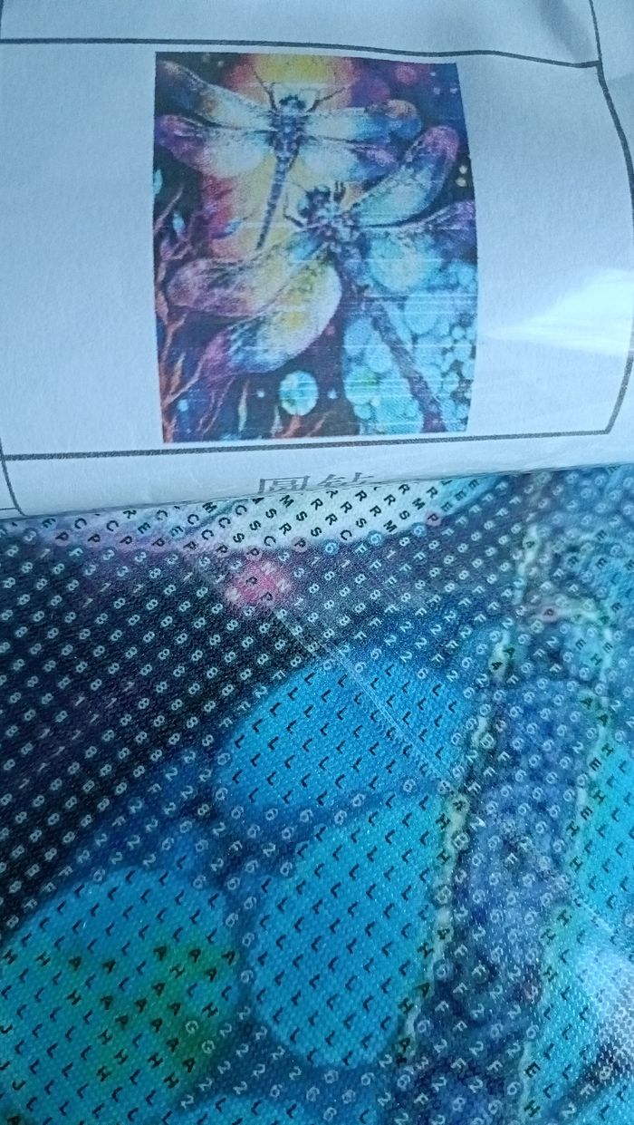 Diamond painting libellule - photo numéro 2