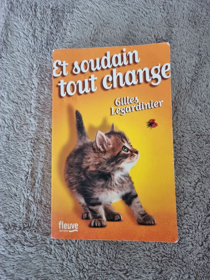 Livre Et soudain tout change