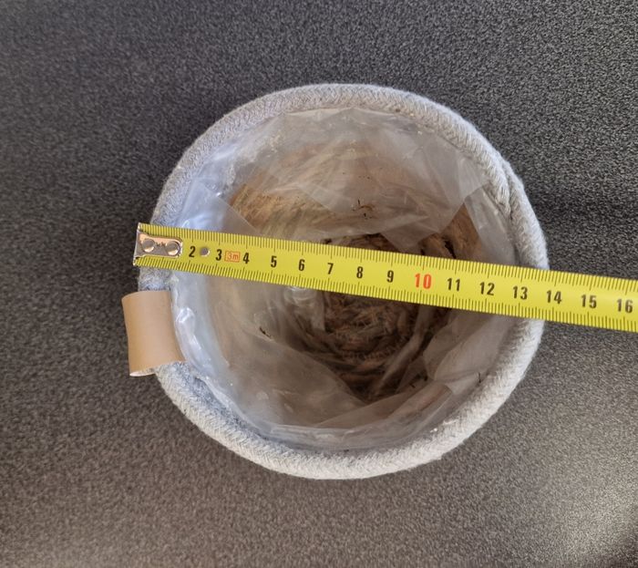 Cache-pot - photo numéro 7