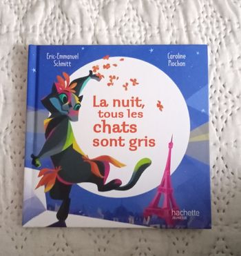 La nuit, tout les chats sont gris 🐈