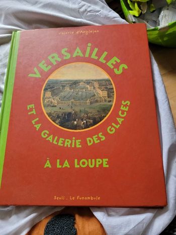 Versailles et la galerie des glaces à la loupe