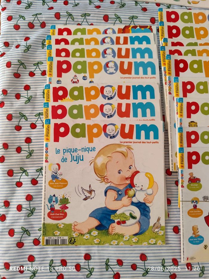 Lot papoum 40 livres dont une année complète - photo numéro 5