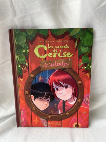BD Les carnets de Cerise et Valentin
