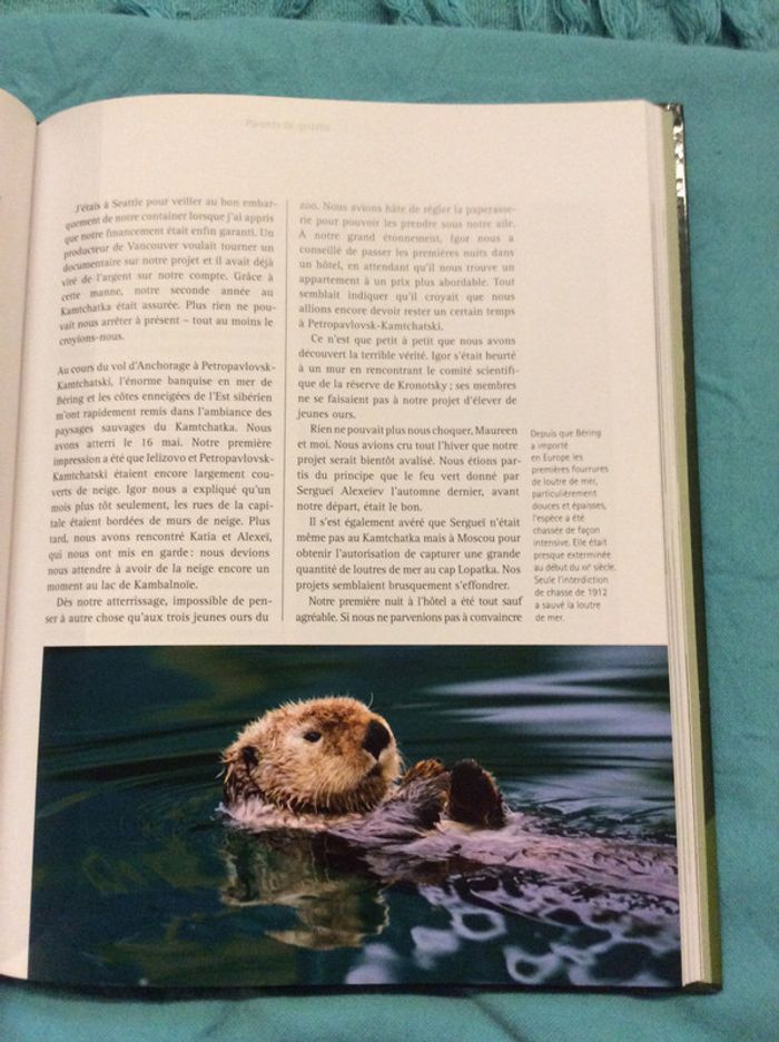 #le Coeur de Grizzli de Kersting Viering et Dr Roland Knauer - photo numéro 4