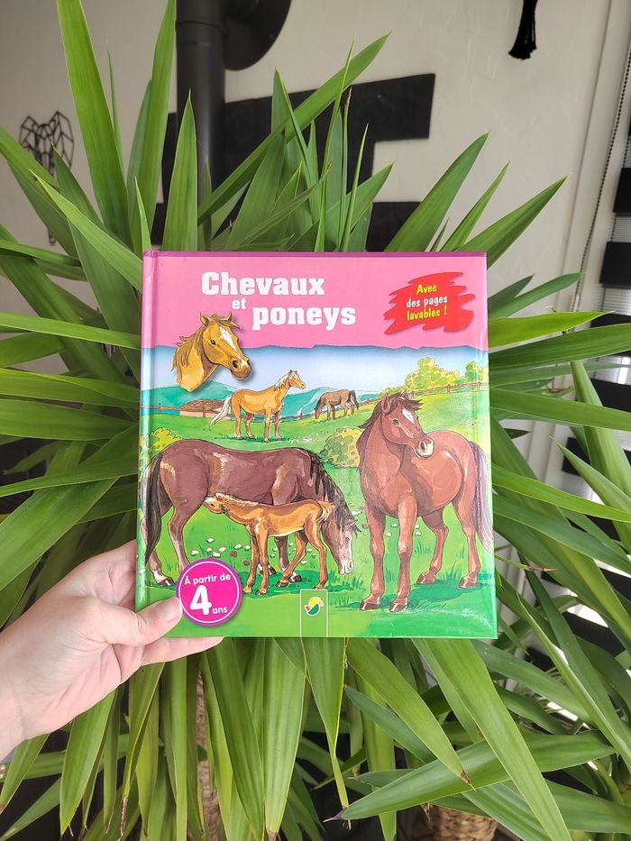 Lot de 2 livres sur les  chevaux pour enfant - photo numéro 5