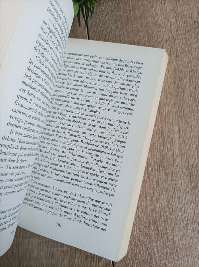 Livre Au-delà des pyramides Douglas Kennedy - photo numéro 2