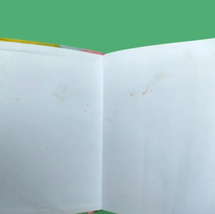 lot de livres bibliothèque rose mimi cracra oui oui etc - photo numéro 4