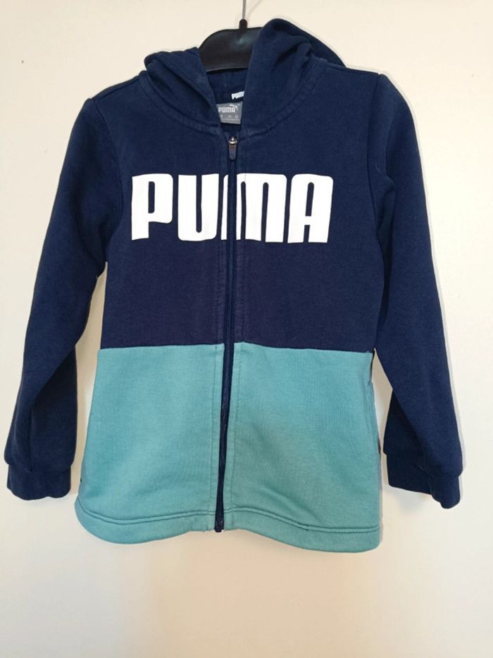 Ensemble puma - photo numéro 2
