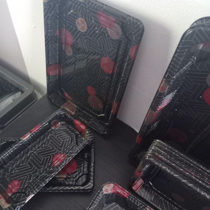 25 plateaux en plastique - photo numéro 4