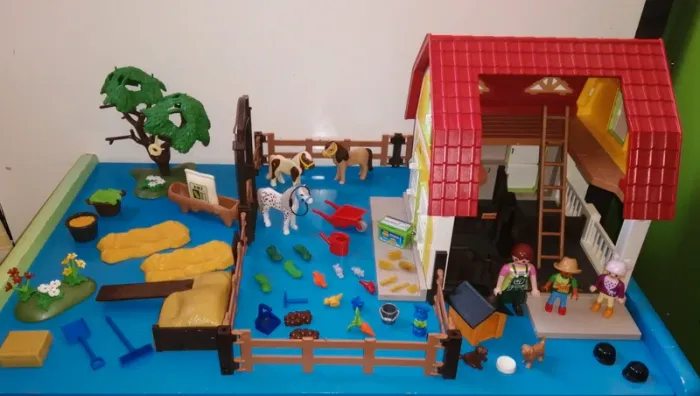 Thème* centre équestre - photo numéro 8