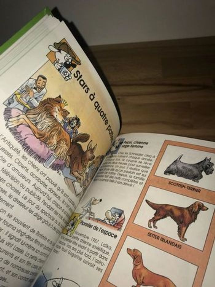 1991 livret mes carnets futés: le chien à partir de 9 ans - photo numéro 12