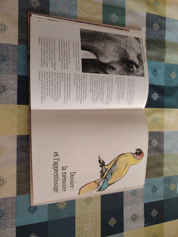 Livre sur l'éléphant - photo numéro 10