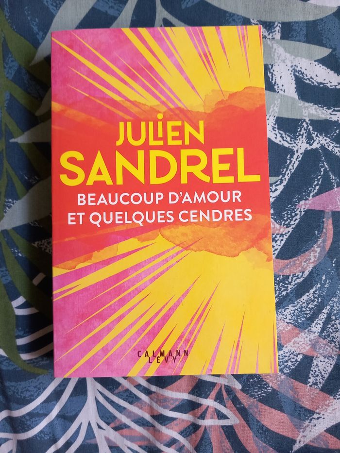 Julien Sandrel - Beaucoup de cendres et d'amour - photo numéro 2