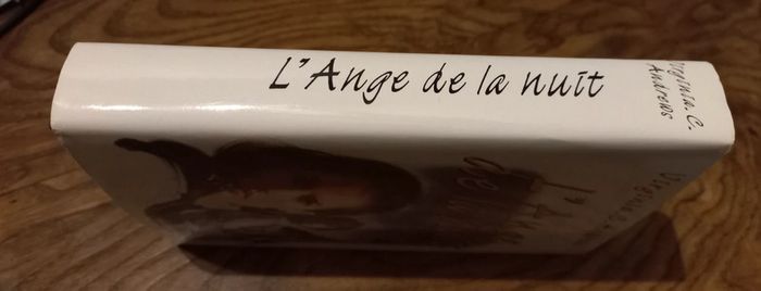 Livre l'ange de la nuit - photo numéro 3
