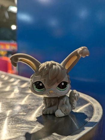 littlest Petshop lapin