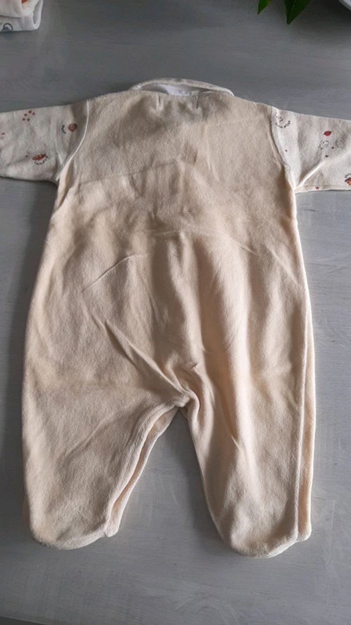 Pyjama Sucre d Orge 6 mois - photo numéro 3