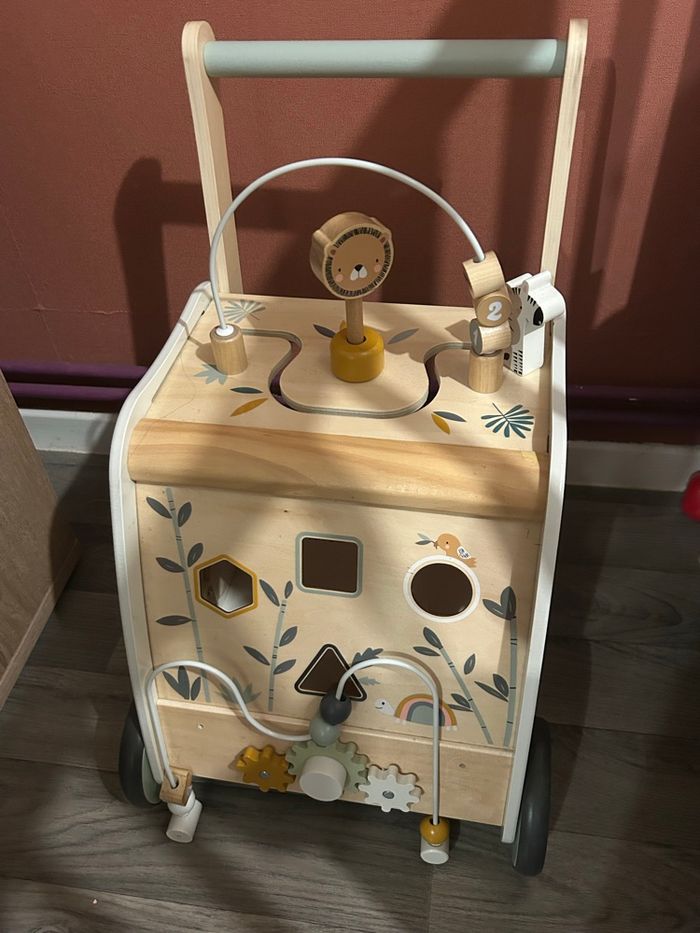 Chariot de marche Tanzanie - photo numéro 2