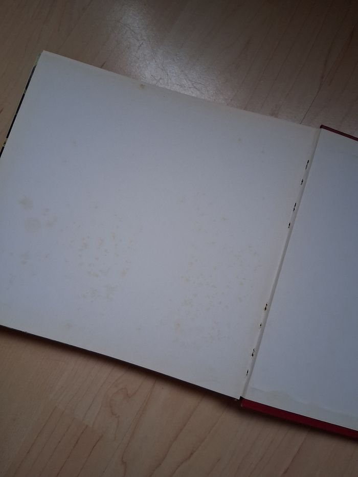 Ancien livre sur les fleurs d'Alsace - photo numéro 4