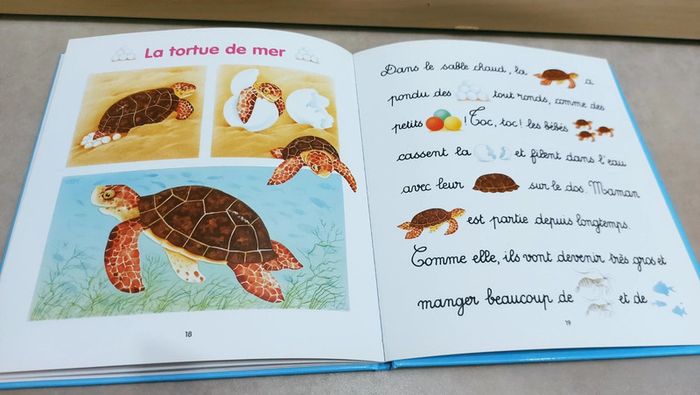 🌺 Livre pour apprendre à lire : Je lis avec les animaux de la mer - photo numéro 5