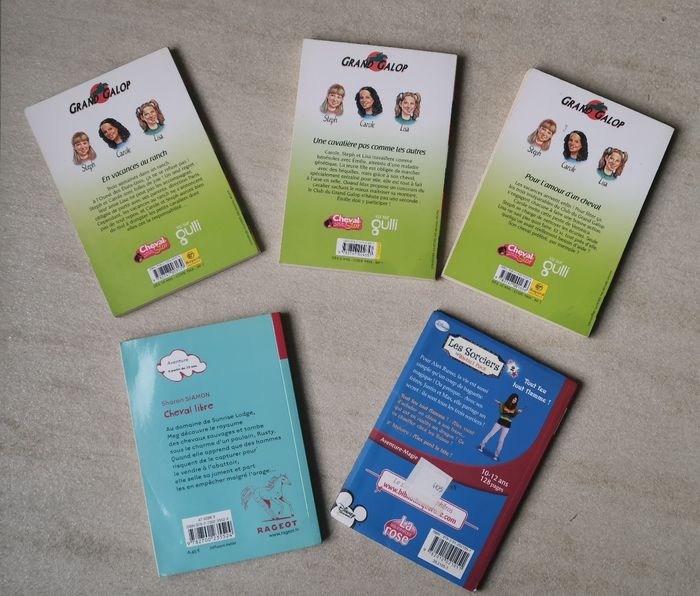 Grand galop et Le ranch des Mustangs - photo numéro 2