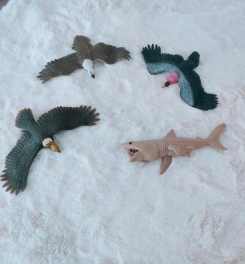 Animaux