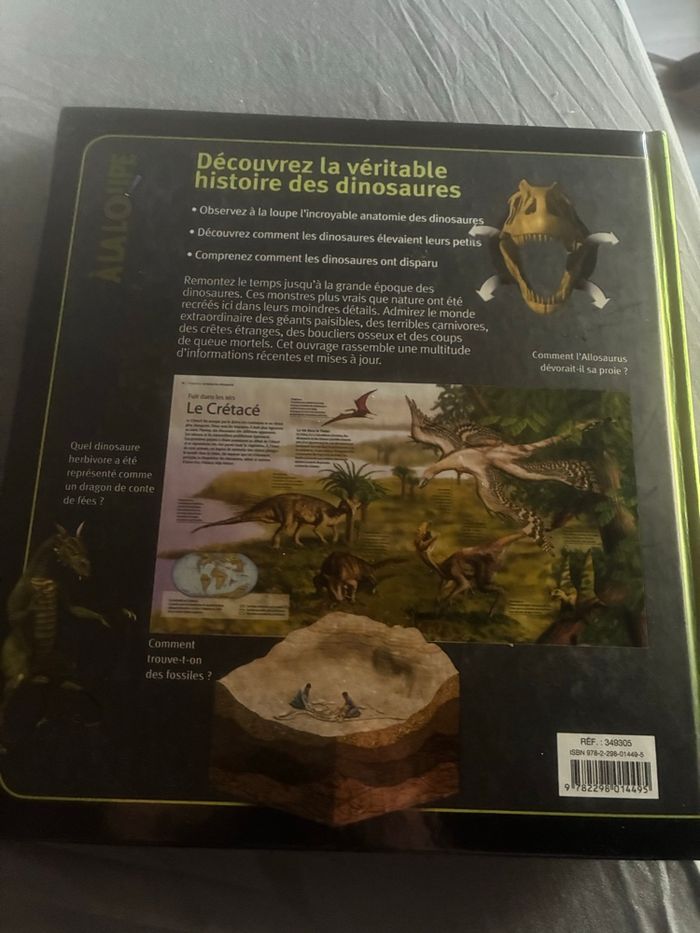 Livre Les dinosaures 🦖 a la loupe - photo numéro 2