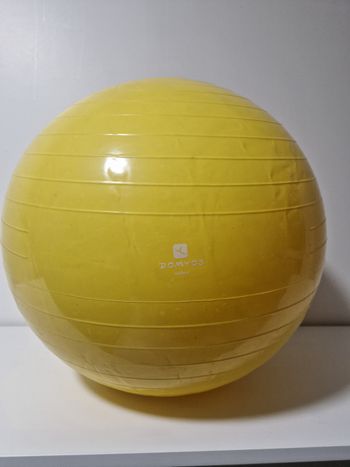 Ballon de gym