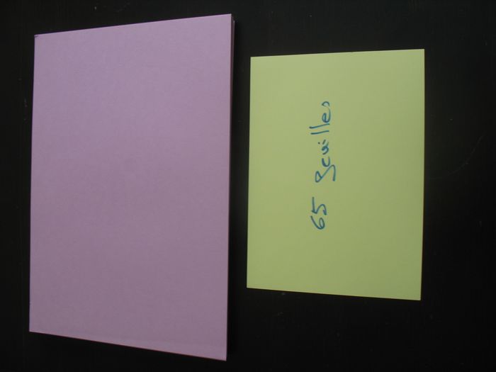 LOT DE 65 FEUILLES A4 - LILAS - 120 GR - n°35