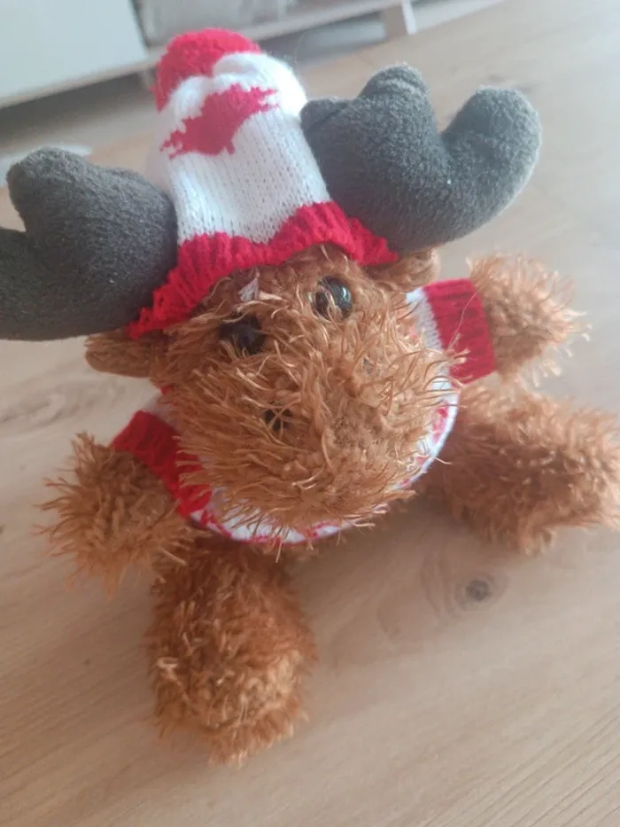 Peluche Canada - photo numéro 2