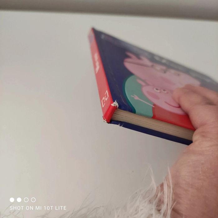 Peppa pig mon papa - photo numéro 4