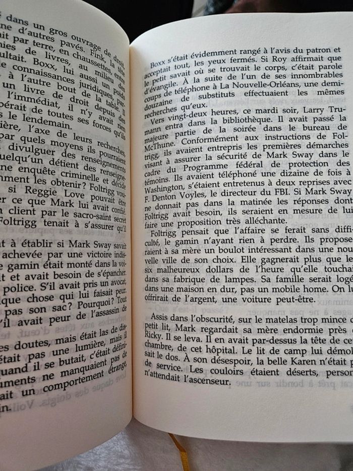 Roman Le client - photo numéro 3