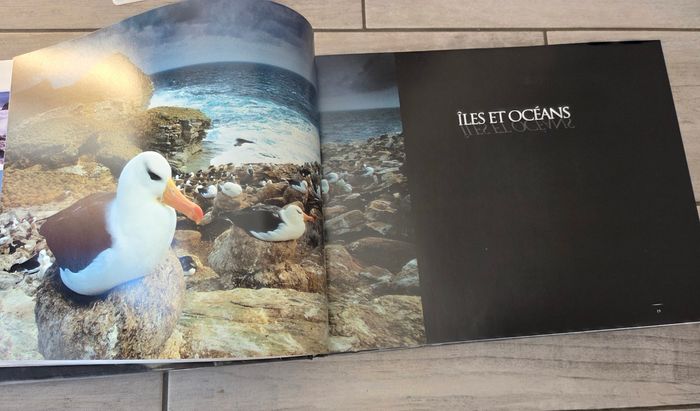 Livre animaux - photo numéro 7