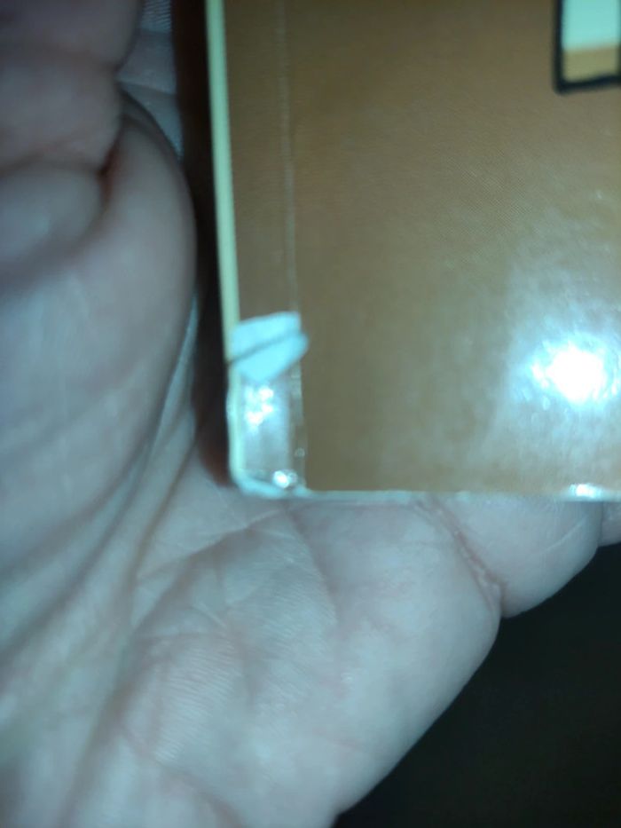 Chien riche chien pauvre - photo numéro 3