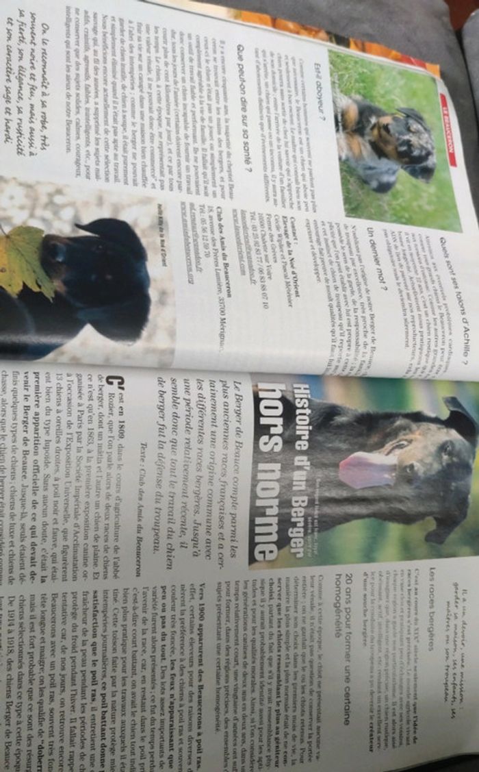 Magazine spécial chiens numéro 55 trimestriel - photo numéro 5