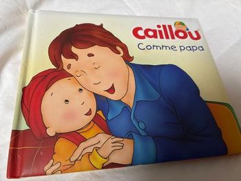 Livre caillou 