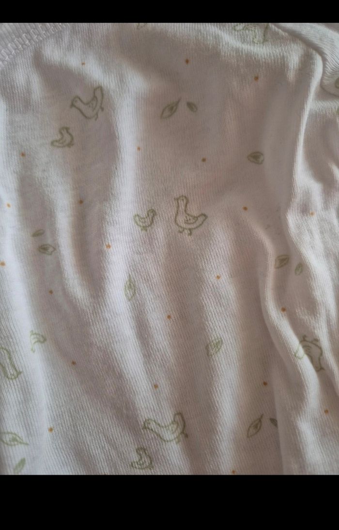 Lot bodies - photo numéro 2