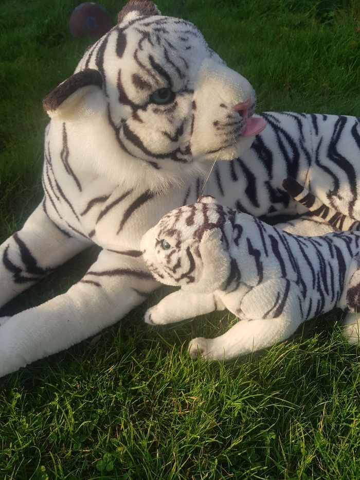Grande peluche maman et bébé tigre blanc 80cm sans la queue - photo numéro 4