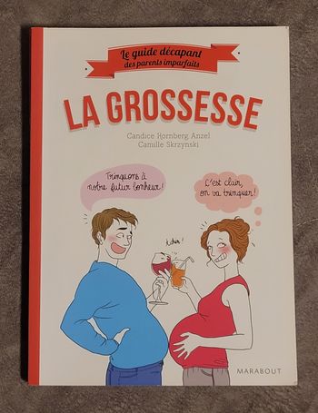 Le guide décapant des parents imparfaits - La Grossesse Candice Kornberg Anzel, Camille Skrzynski