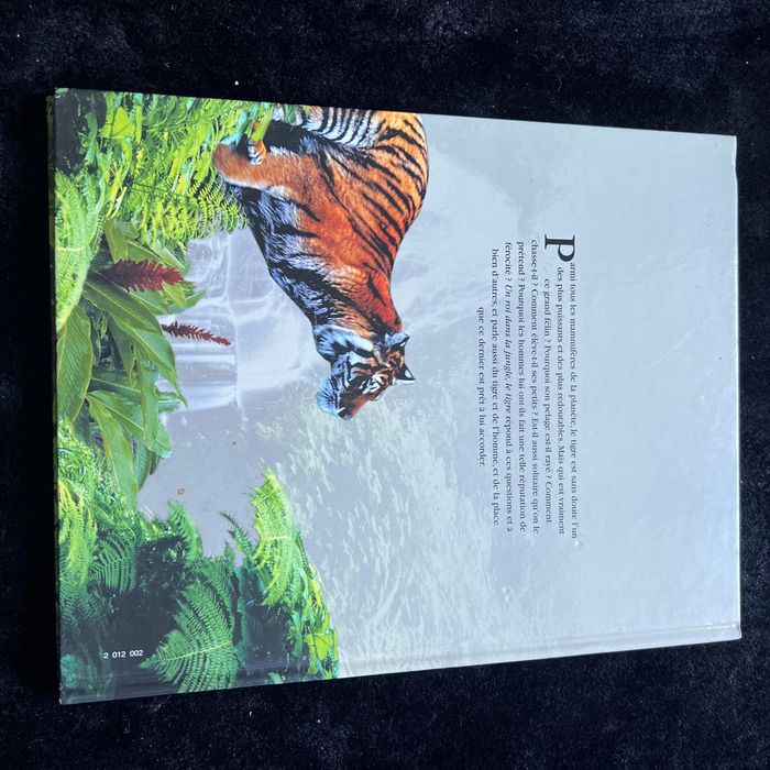 Un roi dans la jungle, le tigre - photo numéro 2