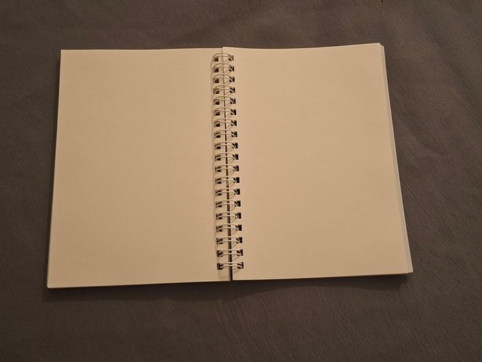 Carnet à spirale neuf – pages vierges – pratique et joli - photo numéro 3