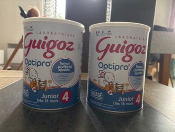 2 boîtes Guigoz 4