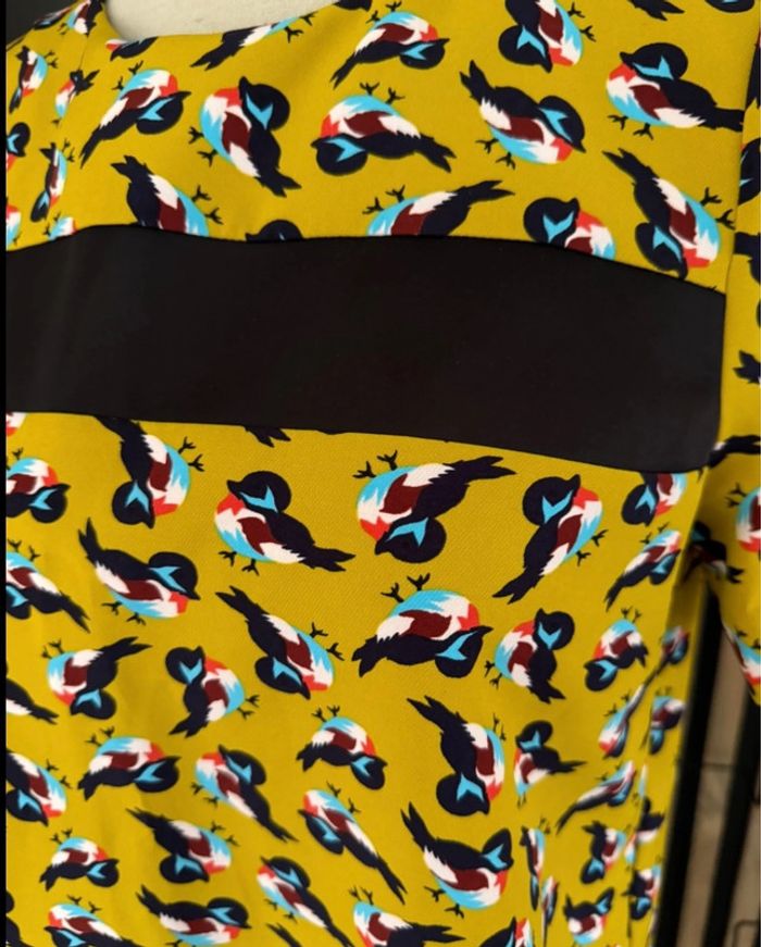 Kookai oiseaux - photo numéro 3