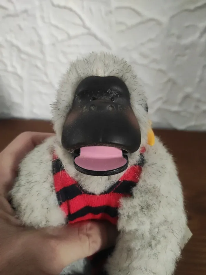 Magical Murphy - photo numéro 4