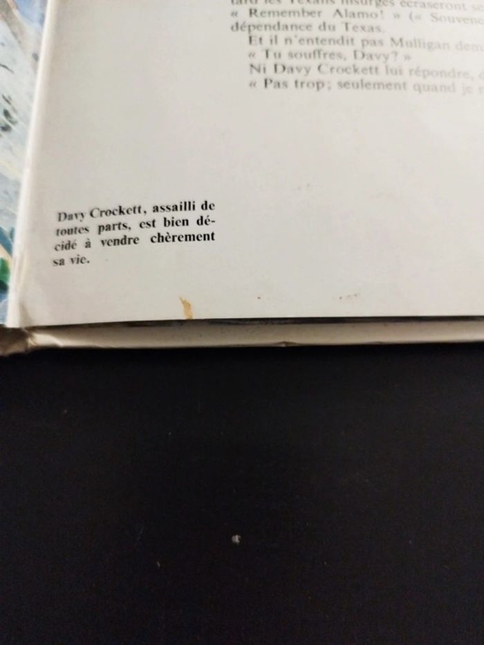 Rare Livre Davy Crockett - photo numéro 13