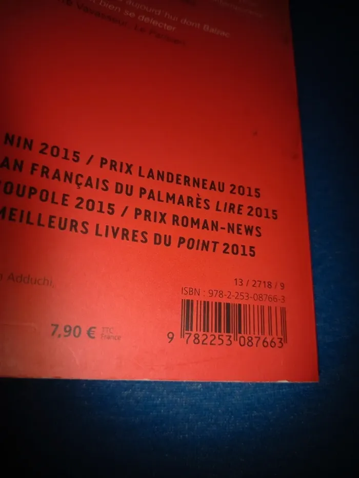 Livre vernon subutex - photo numéro 3