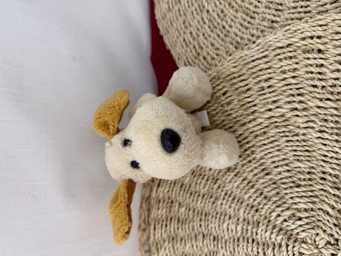 Petit Doudou chien beige CP - photo numéro 1