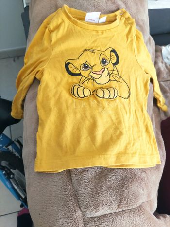 Le roi lion