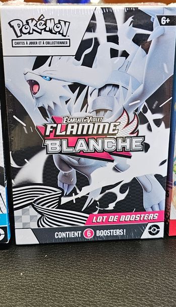 Bundle flammes blanches ev10.5