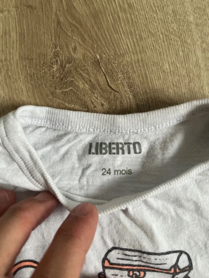 Tee shirt ML 24 mois - photo numéro 2